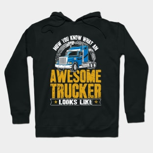 Now you know what an awesome trucker looks like Hoodie